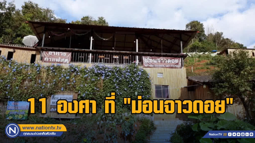 11 องศา ที่ "ม่อนจาวดอย" 11 องศา ที่ "ม่อนจาวดอย"