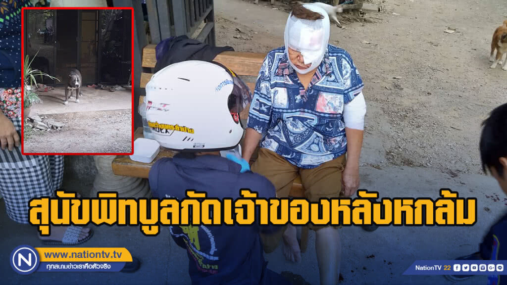 สุนัขพิทบูลกัดเจ้าของหลังหกล้ม