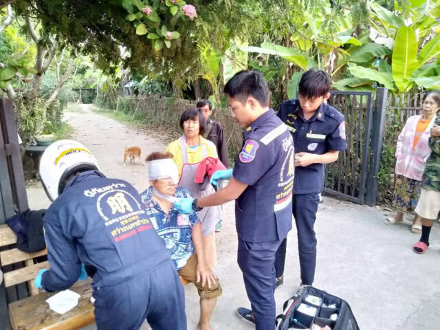 สุนัขพิทบูลกัดเจ้าของหลังหกล้ม