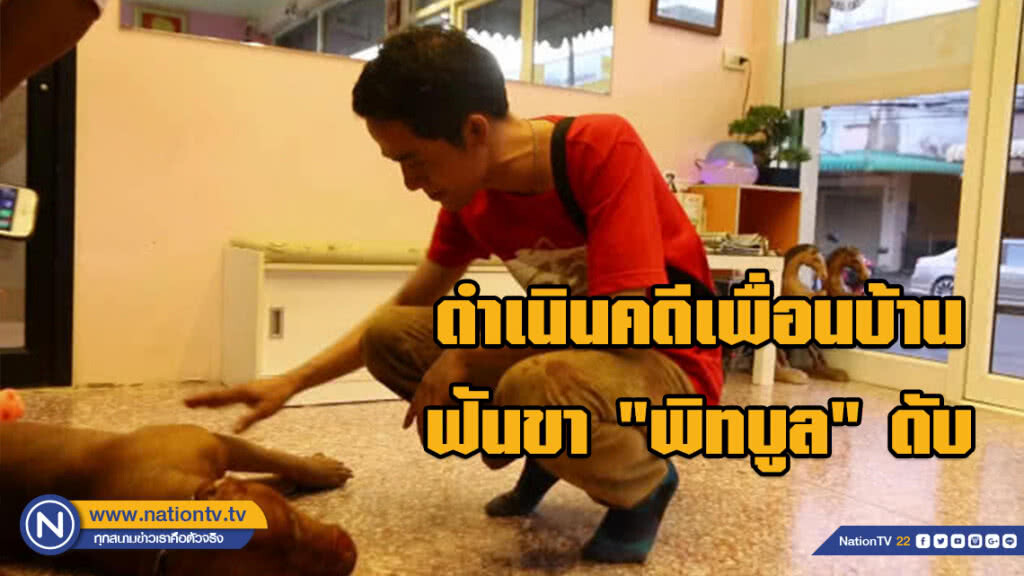 ดำเนินคดีเพื่อนบ้านฟันขา "พิทบูล" ดับ หลังพยามหย่าศึกหมากัดกัน ดำเนินคดีเพื่อนบ้านฟันขา "พิทบูล" ดับ หลังพยามหย่าศึกหมากัดกัน