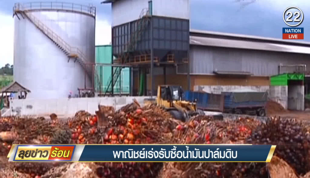 พาณิชย์เร่งรับซื้อน้ำมันปาล์มดิบ พาณิชย์เร่งรับซื้อน้ำมันปาล์มดิบ