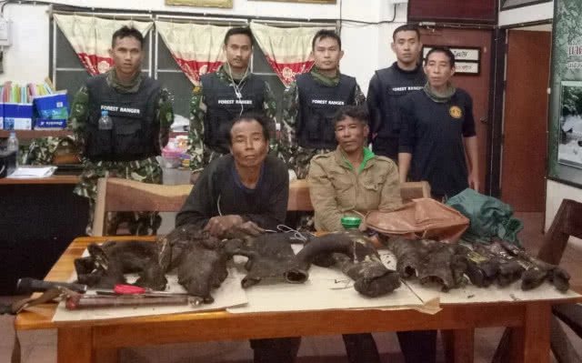 รวบ 2 พรานล่าหมูป่าเขตอุทยานแห่งชาติ