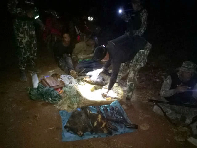 รวบ 2 พรานล่าหมูป่าเขตอุทยานแห่งชาติ