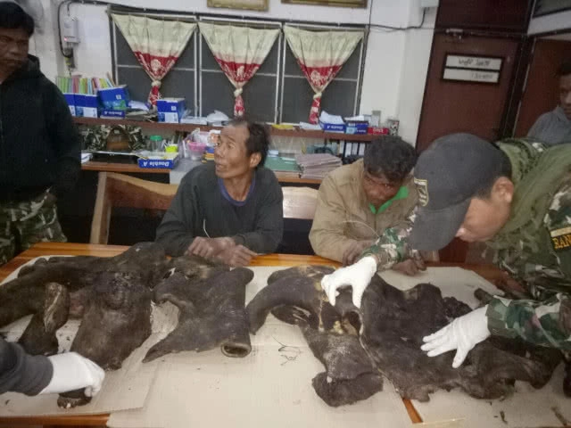 รวบ 2 พรานล่าหมูป่าเขตอุทยานแห่งชาติ