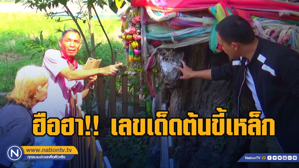 ฮือฮา!! เลขเด็ดต้นขี้เหล็กรูปพระพักตร์พระพุทธเจ้า อายุกว่า 1,000 ปี