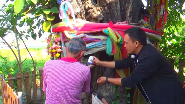 ฮือฮา!! เลขเด็ดต้นขี้เหล็กรูปพระพักตร์พระพุทธเจ้า อายุกว่า 1,000 ปี