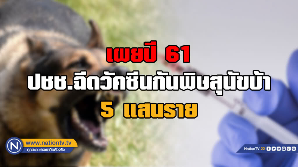 กรมควบคุมโรคเผยปี 61 ปชช.ฉีดวัคซีนป้องกันพิษสุนัขบ้า 5 แสนราย