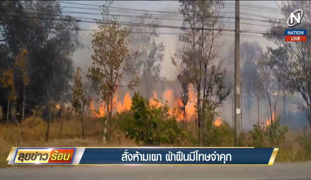 สั่งห้ามเผา ฝ่าฝืนมีโทษจำคุก