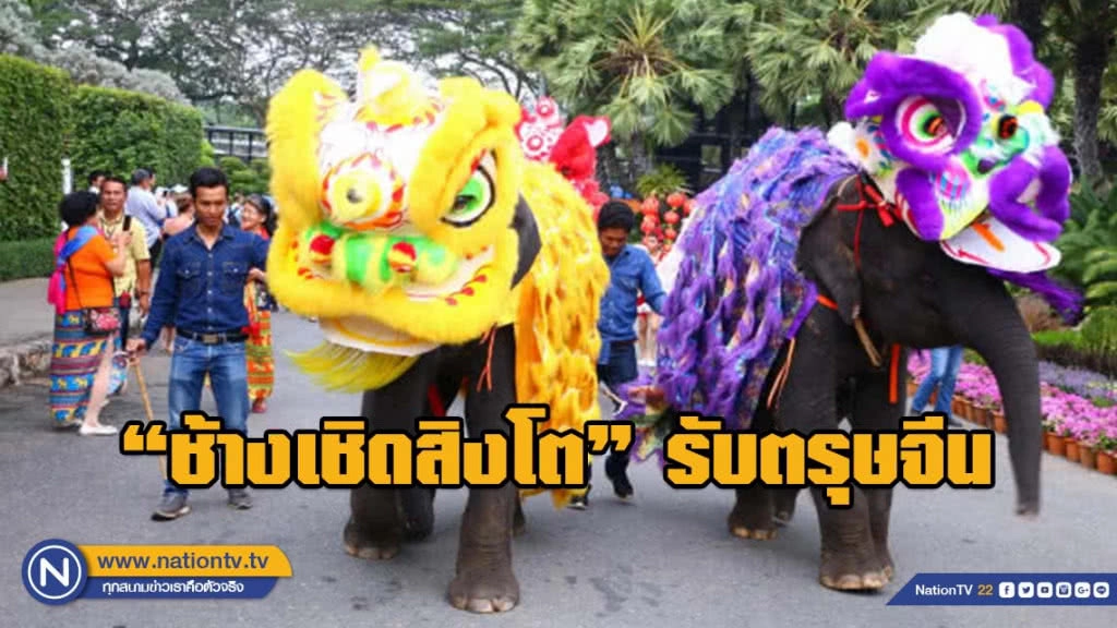 สวนนงนุชพัทยา นำ "ช้างแสนรู้" เชิดสิงโตต้อนรับตรุษจีน