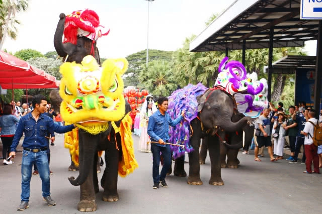 สวนนงนุชพัทยา นำ "ช้างแสนรู้" เชิดสิงโตต้อนรับตรุษจีน