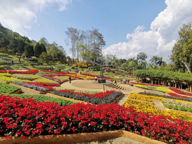 เปิดทริปหนีฝุ่นเมืองกรุง ไปเที่ยว "ดอยตุง" จ.เชียงราย