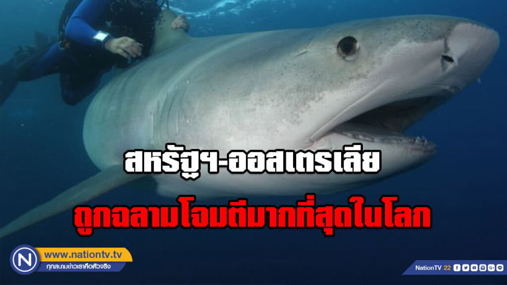 สหรัฐฯ-ออสเตรเลีย ครองอันดับ 1 และ 2 ถูกฉลามโจมตีมากที่สุดในโลก สหรัฐฯ-ออสเตรเลีย ครองอันดับ 1 และ 2 ถูกฉลามโจมตีมากที่สุดในโลก