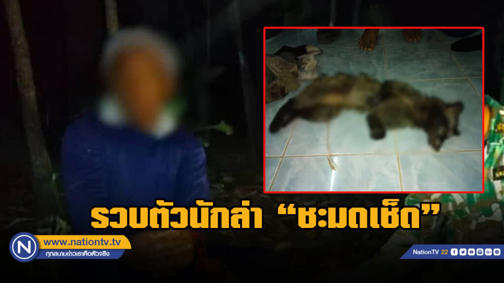 เจ้าหน้าที่ เขตฯ เขาน้อย เขาประดู่ รวบตัวผู้ต้องหาพร้อมซากชะมดเช็ด