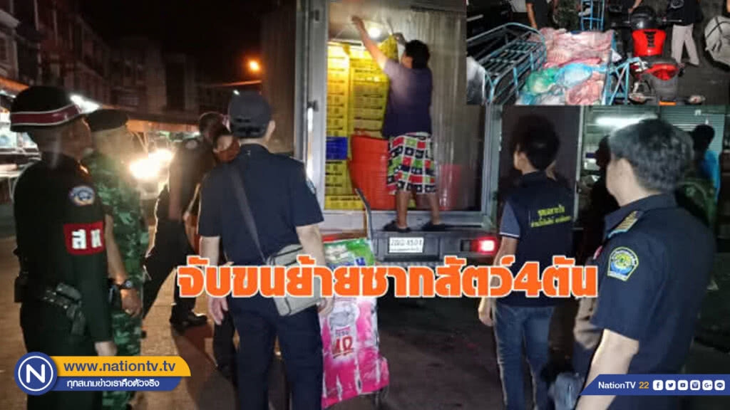 จับขนย้ายซากสัตว์4ตัน