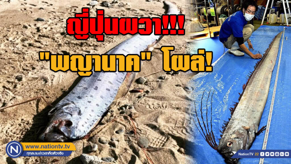 ญี่ปุ่นผวา!!! "พญานาค" โผล่หวั่นสัญญาณเตือนภัยธรรมชาติ ญี่ปุ่นผวา!!! "พญานาค" โผล่หวั่นสัญญาณเตือนภัยธรรมชาติ