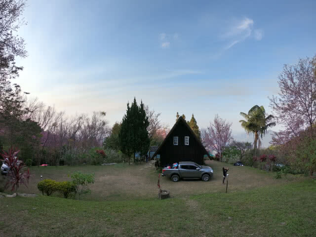 รีบไปชม "ซากุระเมืองไทย" สถานีวิจัยต้นน้ำขุนสถาน