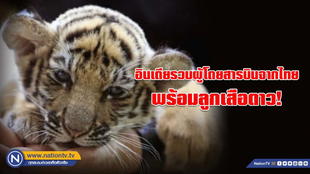 อินเดียรวบผู้โดยสารบินจากไทยพร้อมลูกเสือดาวในตะกร้า! อินเดียรวบผู้โดยสารบินจากไทยพร้อมลูกเสือดาวในตะกร้า!