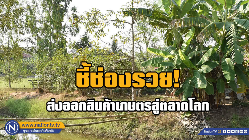 กรมเจรจาฯ จับมือสภาเกษตรฯ ลงพื้นที่ภาคเหนือ ชี้ช่องรวย ส่งออกสินค้าเกษตรสู่ตลาดโลก