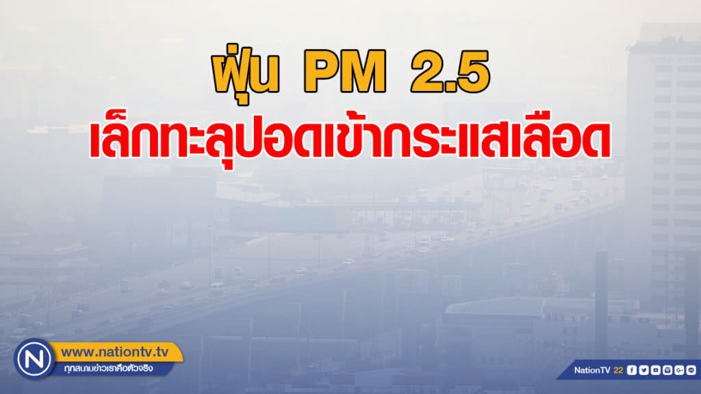แพทย์ชี้ฝุ่น PM 2.5 เล็กทะลุปอดเข้ากระแสเลือด