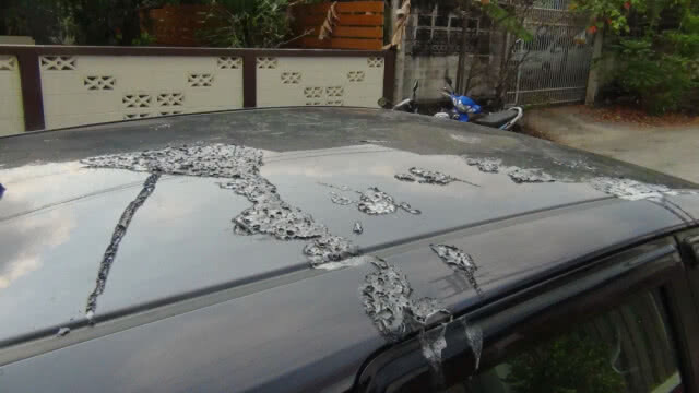 วงจรปิดจับภาพ!! แฟนเก่าราดน้ำกรดรถยนต์สีร่อนทั้งคัน