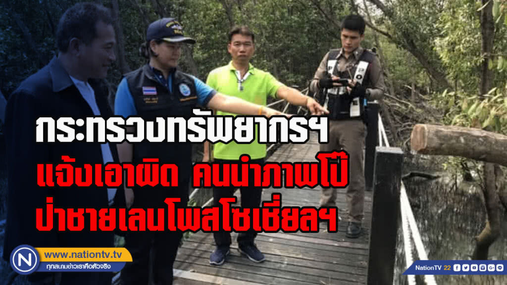 กระทรวงทรัพยากรฯแจ้งเอาผิด คนนำภาพโป๊ป่าชายเลนโพสโซเชี่ยลฯ