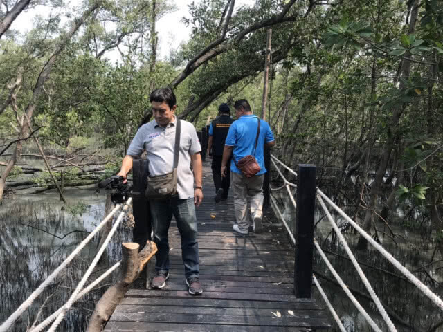 กระทรวงทรัพยากรฯแจ้งเอาผิด คนนำภาพโป๊ป่าชายเลนโพสโซเชี่ยลฯ