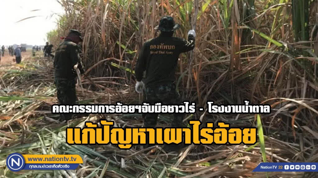 คณะกรรมการอ้อยฯจับมือชาวไร่ -โรงงานน้ำตาล แก้ปัญหาเผาไร่อ้อย คณะกรรมการอ้อยฯจับมือชาวไร่ -โรงงานน้ำตาล แก้ปัญหาเผาไร่อ้อย