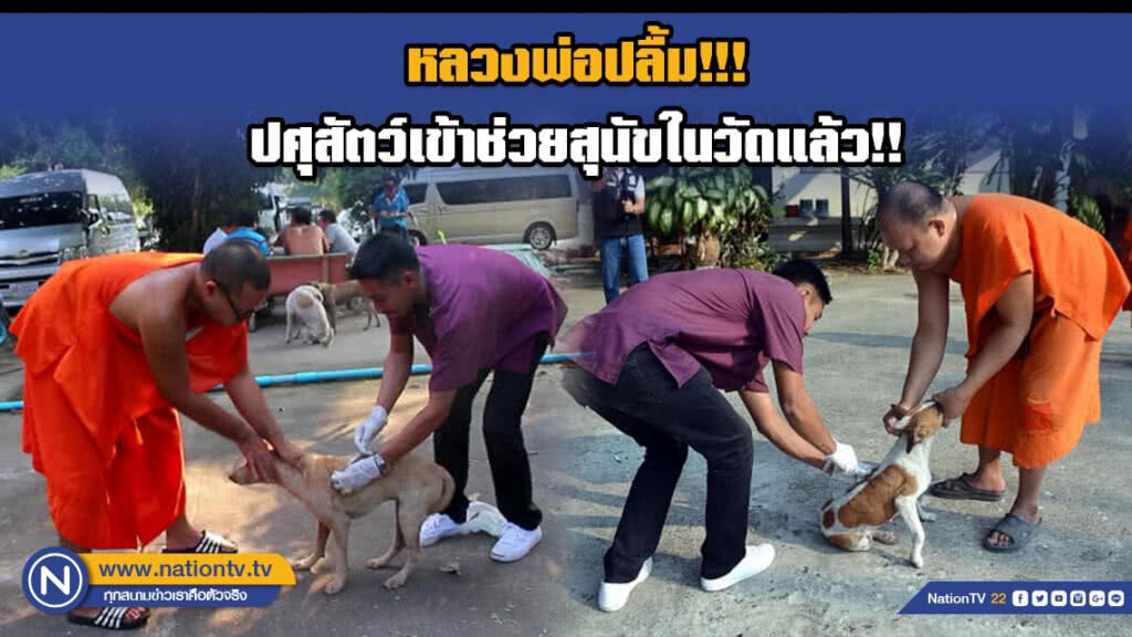 หลวงพ่อปลื้ม!!! ปศุสัตว์เข้าช่วย 50 สุนัขในวัด "ป่วย-เรื้อน"!! หลวงพ่อปลื้ม!!! ปศุสัตว์เข้าช่วย 50 สุนัขในวัด "ป่วย-เรื้อน"!!