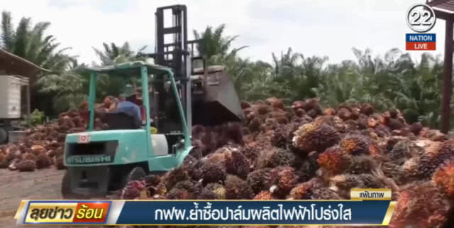 กฟผ.ย้ำซื้อปาล์มผลิตไฟฟ้าโปร่งใส