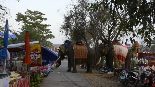 คลิป "น้องไข่มุก" เปิดใจนาทีเฉียดตาย !!