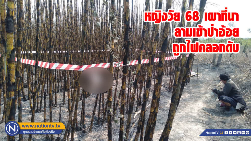 หญิงวัย 68 เผาที่นาลามเข้าป่าอ้อยถูกไฟคลอกดับ