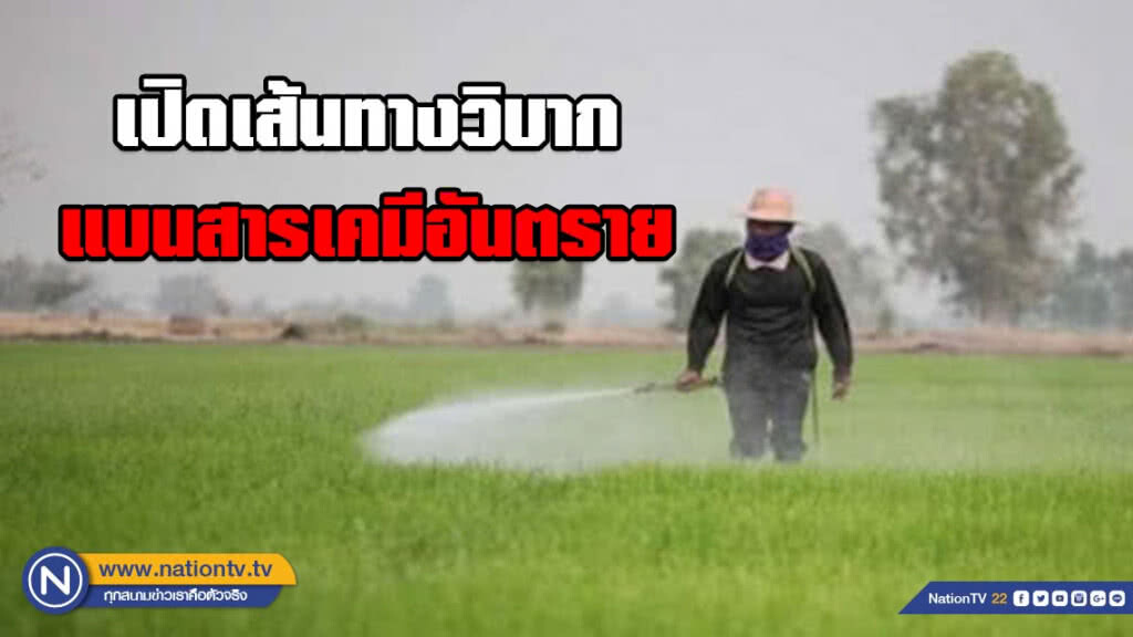 มูลนิธิเพื่อผู้บริโภค เผยเส้นทางวิบากแบนสารเคมีอันตราย "พาราควอต คลอร์ไพริฟอส และไกลโฟเสต"