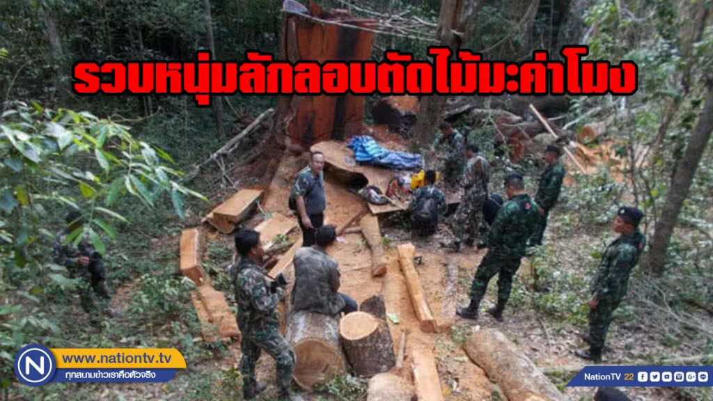 รวบตัว !! หนุ่ม ลักลอบตัดไม้มะค่าโมงในเขตอุทยานแห่งชาติแก่งกระจาน