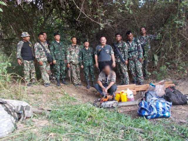 รวบตัว !! หนุ่ม ลักลอบตัดไม้มะค่าโมงในเขตอุทยานแห่งชาติแก่งกระจาน