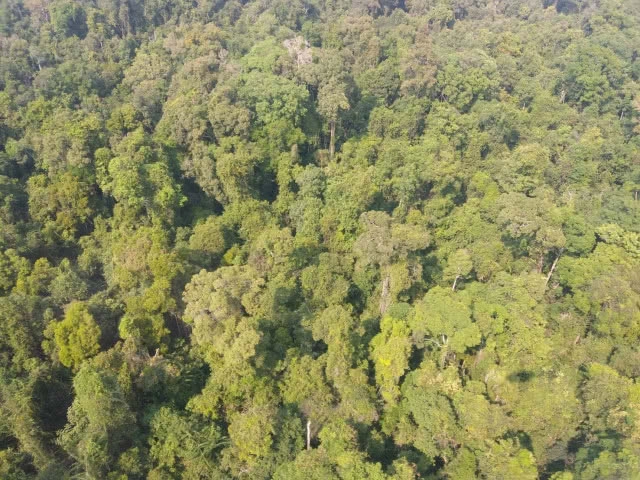 บินสำรวจสภาพพื้นที่ป่า เขตรักษาพันธุ์สัตว์ป่าห้วยศาลา 237,500 ไร่ จ.ศรีษะเกษ