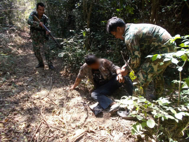 รวบตัว !! หนุ่ม ลักลอบตัดไม้มะค่าโมงในเขตอุทยานแห่งชาติแก่งกระจาน