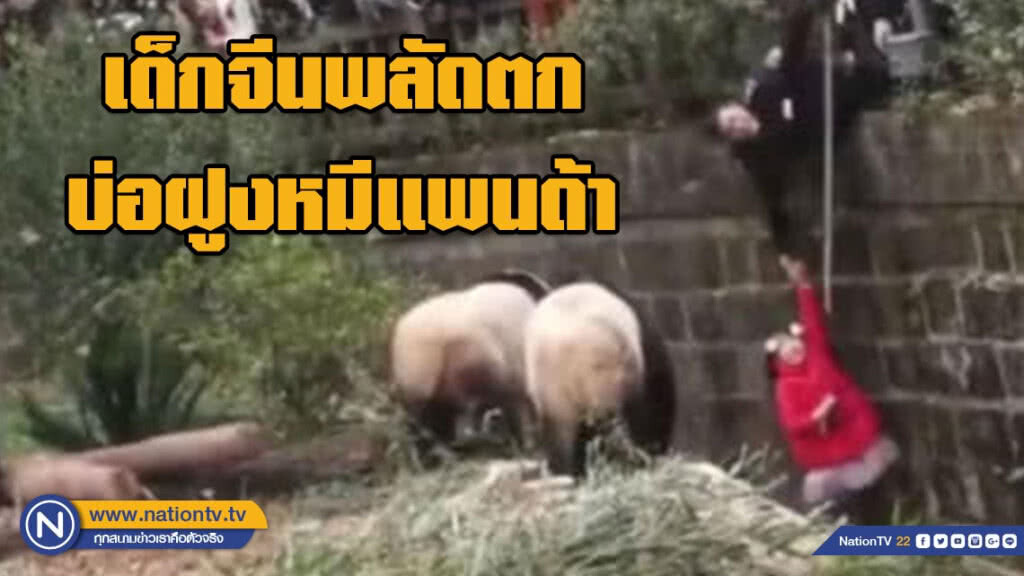 นาทีระทึก!! เด็กจีนพลัดตกบ่อฝูงหมีแพนด้า (มีคลิป) นาทีระทึก!! เด็กจีนพลัดตกบ่อฝูงหมีแพนด้า (มีคลิป)