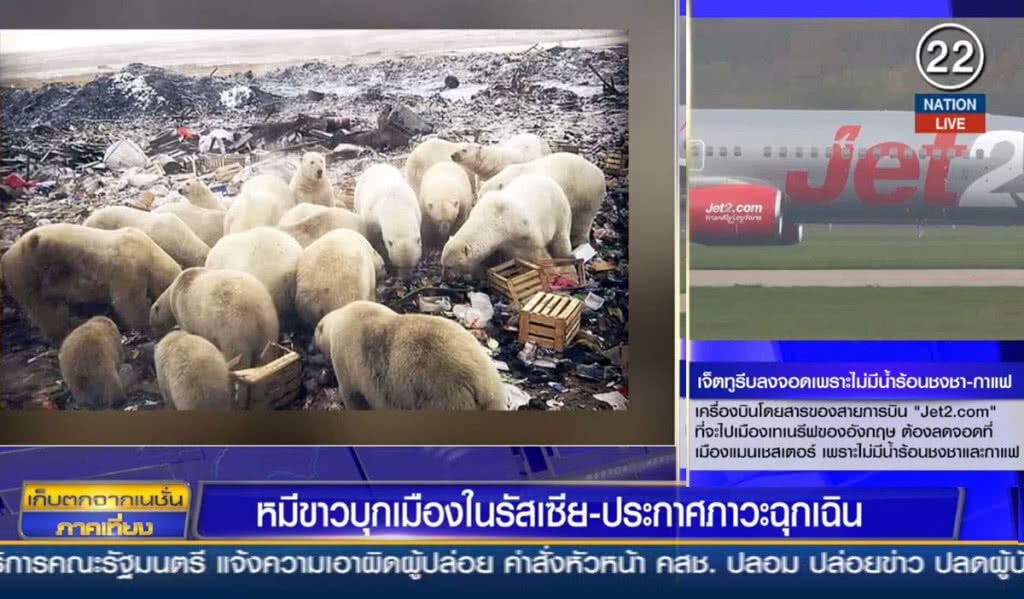 (คลิปข่าว) หมีขาวบุกเมืองในรัสเซีย ประกาศภาวะฉุกเฉิน (คลิปข่าว) หมีขาวบุกเมืองในรัสเซีย ประกาศภาวะฉุกเฉิน