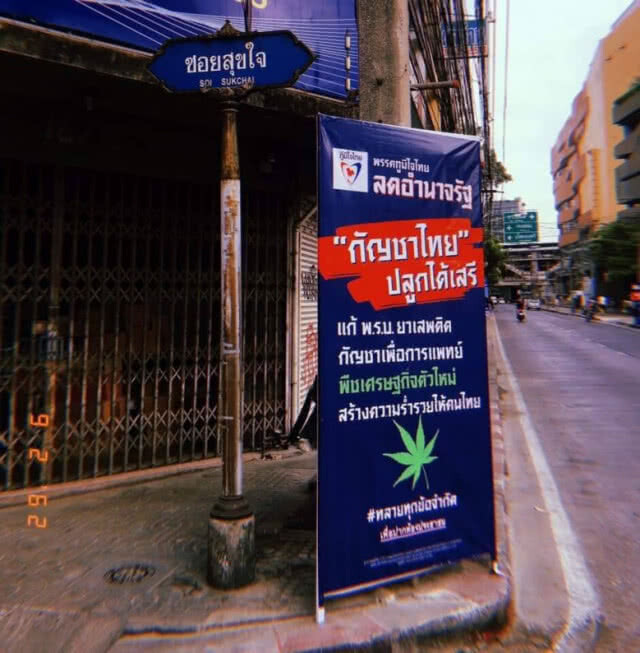 "ภูมิใจไทย" มั่นใจ! กัญชาพืชเศรษฐกิจตัวใหม่ สร้างความร่ำรวยคนในชาติ