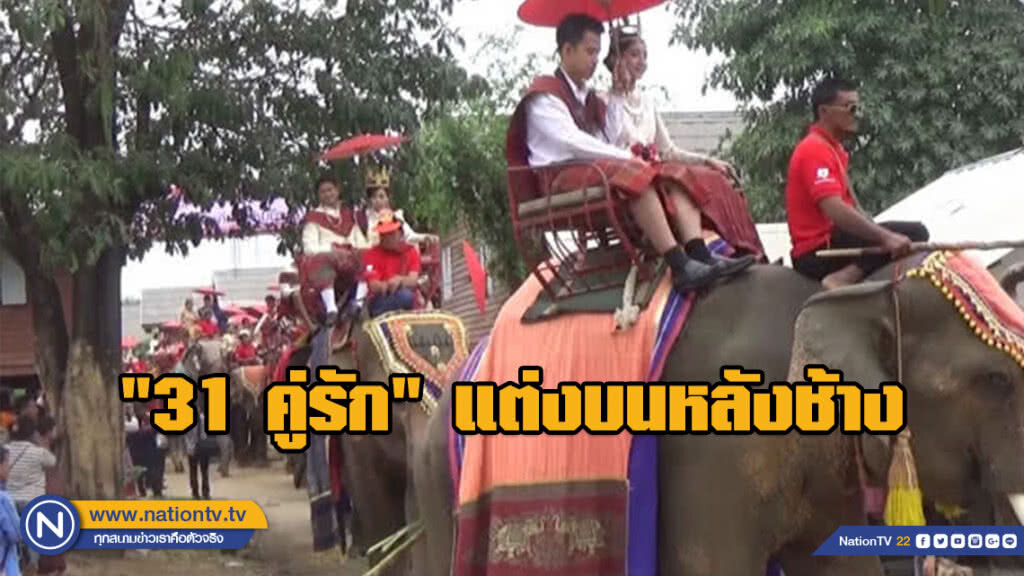 "31 คู่รัก" แต่งบนหลังช้าง วันแห่งความรัก