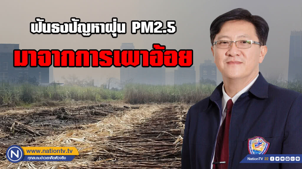 ประธานอุตฯ ฟันธงปัญหาฝุ่น PM2.5 มาจากการเผาอ้อย