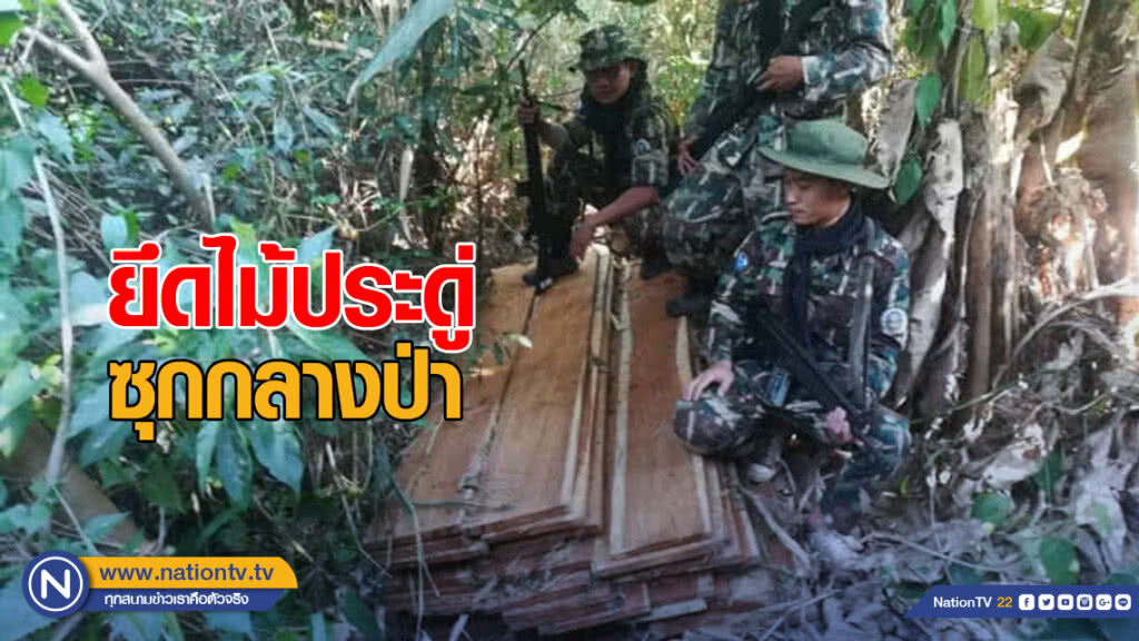 อุทยานแห่งชาติดอยภูนาง ยึดไม้ประดู่ซุกกลางป่า