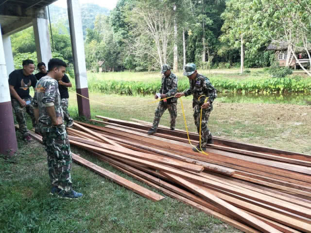 พญาเสือลุยป่าแก่งกระจาน พบการบุกรุกป่า 15 ไร่ พร้อมแปรรูปไม้หวงห้าม