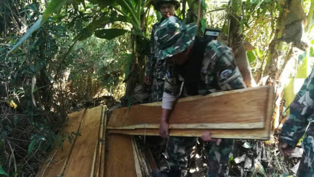 อุทยานแห่งชาติดอยภูนาง ยึดไม้ประดู่ซุกกลางป่า