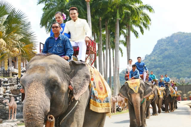 สวนนงนุชฯ แห่ขันหมากคู่รัก99คู่ ในหุบเขาไดโนเสาร์