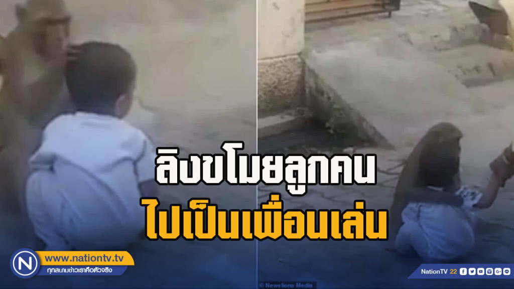 ลิงขโมยลูกคนไปเป็นเพื่อนเล่น ลิงขโมยลูกคนไปเป็นเพื่อนเล่น