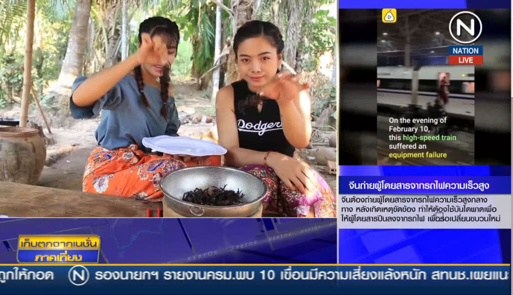 (คลิปข่าว) สองสาวเขมรโชว์การปรุงและกินแมงมุม