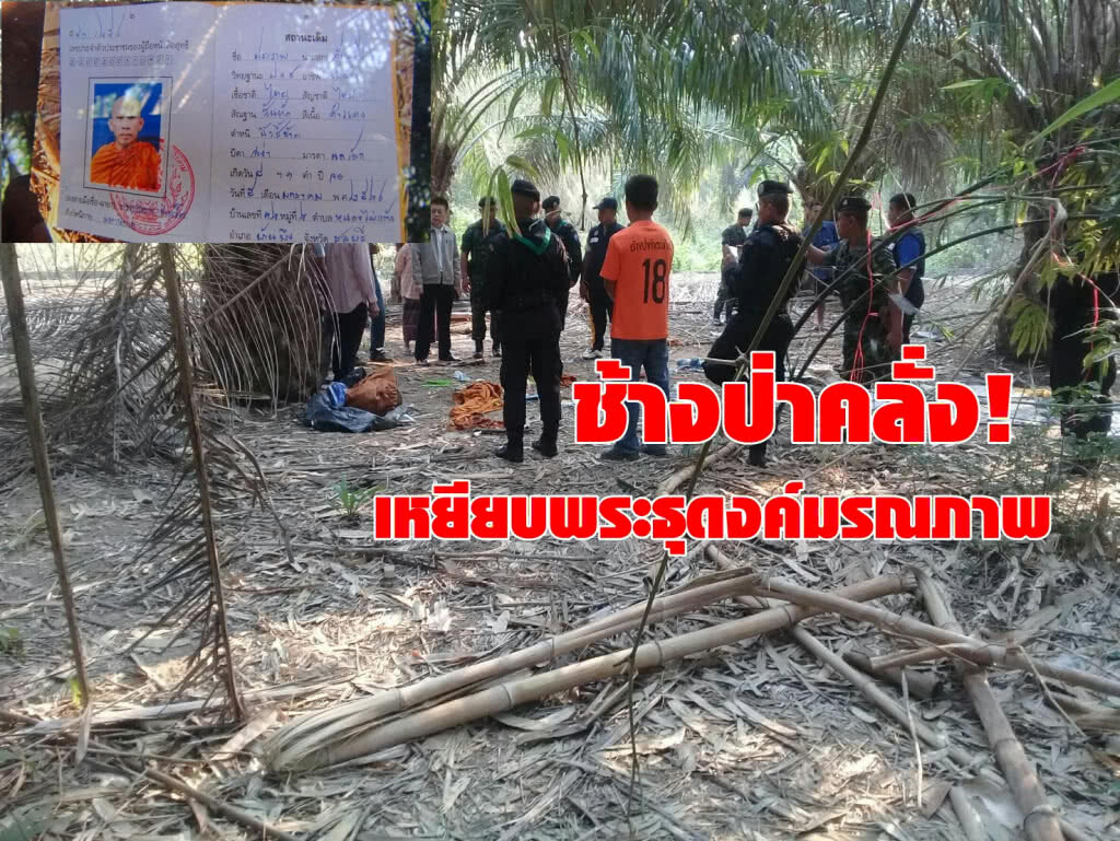 ช้างคลั่ง! เหยียบพระธุดงค์มรณภาพ