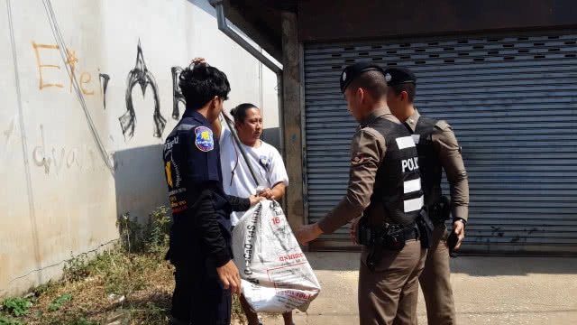 อีกัวน่ากว่า 1 เมตรโผล่กลางเมืองด่านซ้าย