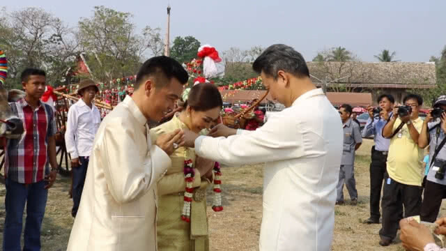 ประเพณีโบราณ!!! คู่รักจัดงานแต่งบนหลังเกวียน รับวันวาเลนไทน์